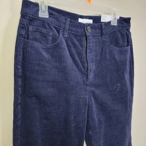 Loft The Straight High Rise Corduroy Jeans Pants Womens 29 Petite Blue NWT
